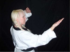 taekwondo patterns